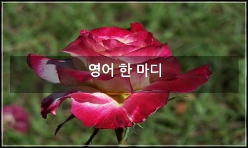 오늘의 이미지