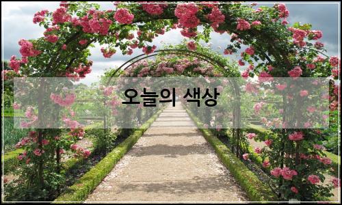 오늘의 이미지