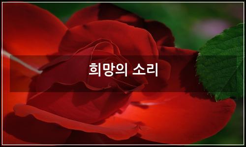오늘의 이미지