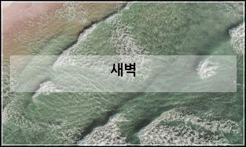 오늘의 이미지
