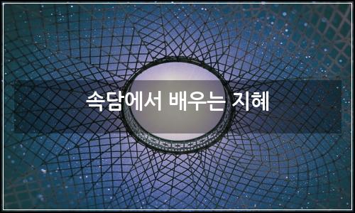 오늘의 이미지