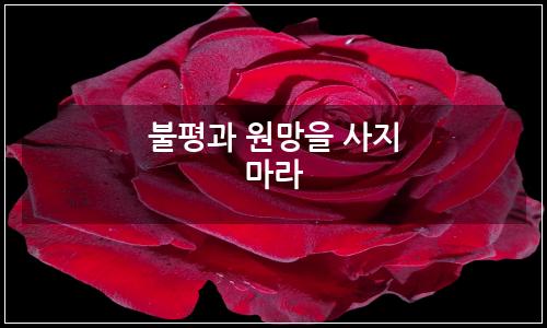 오늘의 이미지