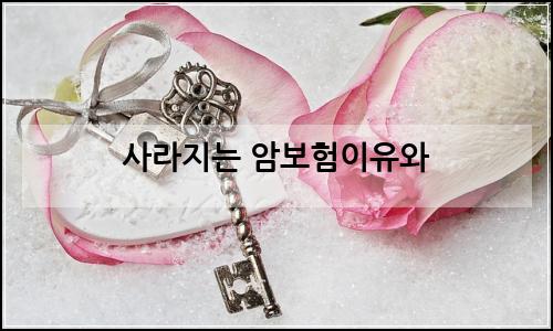 오늘의 이미지