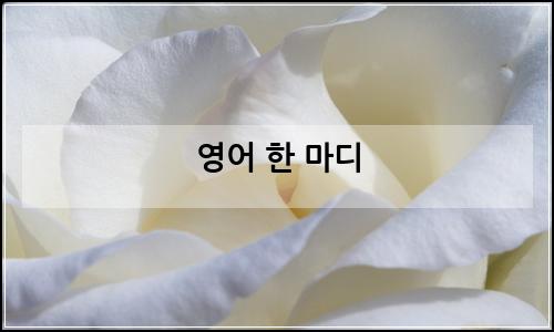 오늘의 이미지