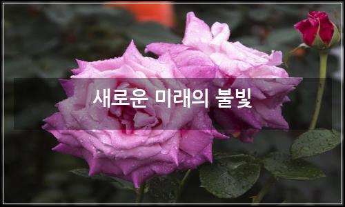 오늘의 이미지