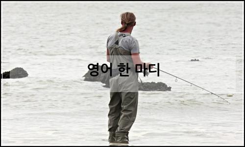 오늘의 이미지