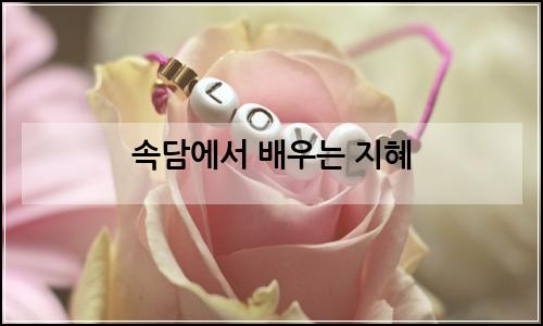오늘의 이미지