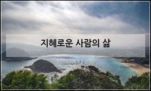 오늘의 이미지