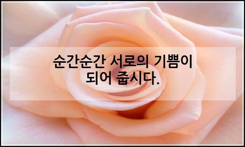 오늘의 이미지