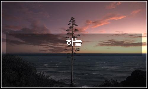 오늘의 이미지