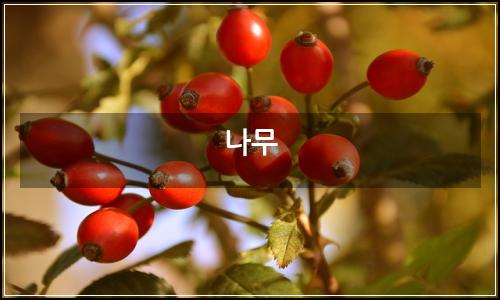 오늘의 이미지