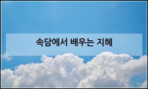 오늘의 이미지