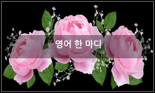오늘의 이미지