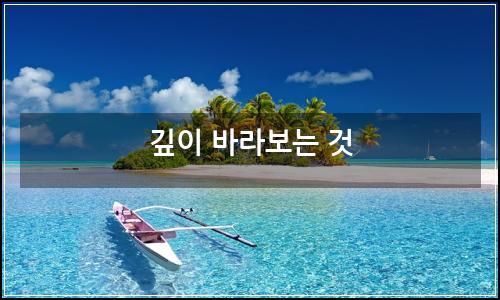 오늘의 이미지