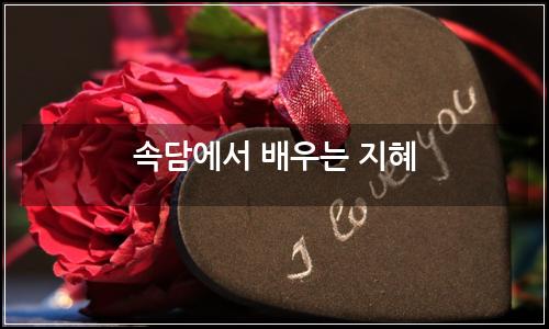 오늘의 이미지