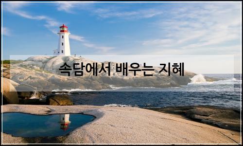 오늘의 이미지