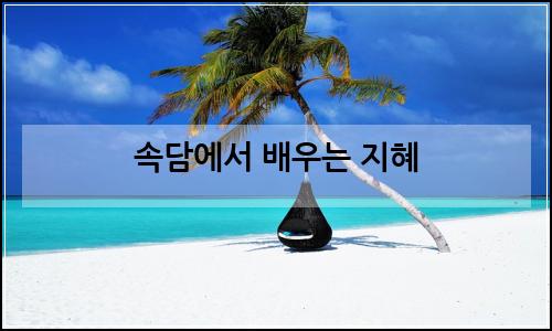 오늘의 이미지