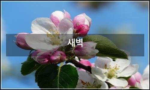 오늘의 이미지