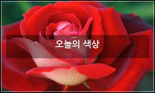 오늘의 이미지