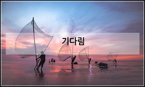 오늘의 이미지