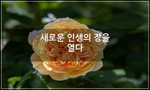 오늘의 이미지
