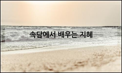 오늘의 이미지