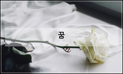 오늘의 이미지