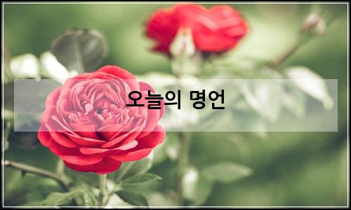 오늘의 이미지